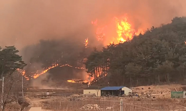 울진 산불, 한울원전구역·삼척까지 번져'''7번국도 전면통제