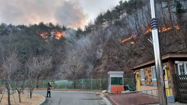 강원 곳곳에서 사흘째 산불이 이어지는 6일 오전 삼척시 원덕읍에서 소방대원들이 진화하고 있다. 연합뉴스