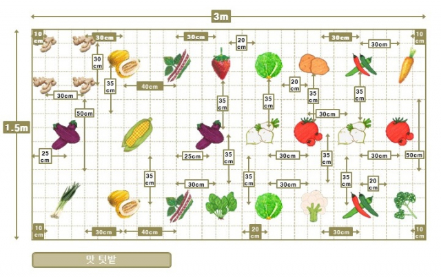 맛텃밭