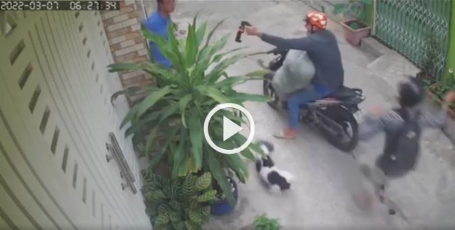 전기충격기에 최루액까지 들고…개도둑 판치는 베트남