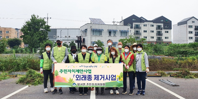 경기 양평군 양서면 마을가꾸기.