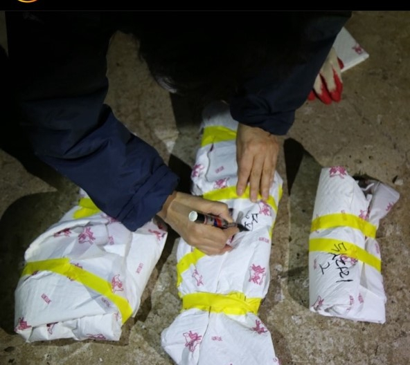 지난 21일 동물보호단체 ‘카라’의 활동가들이 경북 포항의 한 폐양식장에서 발견된 고양이들의 사체를 수습하고 있다. /인스타그램 캡처