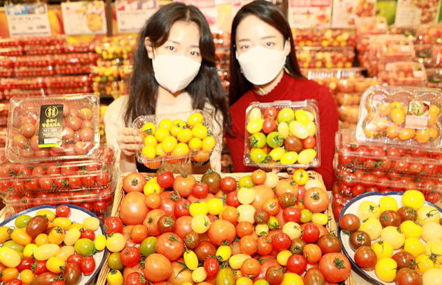 고객들이 다양한 이색 토마토를 들고 기념 촬영을 하고 있다. /사진제공=롯데마트