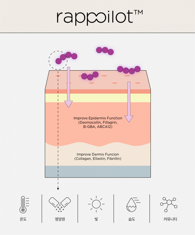 코스맥스가 발견한 2세대 피부 마이크로바이옴 ‘라포일럿’의 도식도. /사진 제공=코스맥스