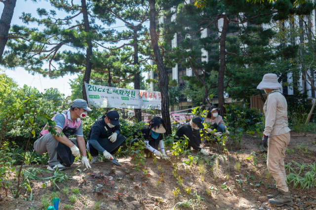 지난해 9월 인천 미추홀구에서 시민들이 생활정원을 조성하고 있다. 사진제공=산림청