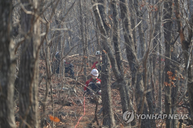 8일 경북 울진군 금강송면 소광리 금강송 군락지 경계선인 야산에서 산림청 소속 진화요원이 방화선을 구축하고 잠시 눈을 붙이고 있다. 연합뉴스