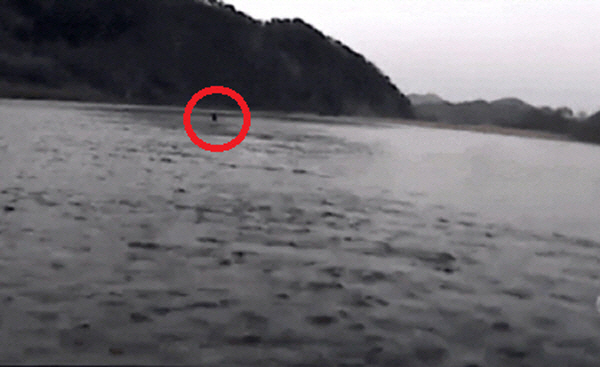 남한강에서 익수자를 구하기 위해 자신의 스포츠유틸리티차량(SUV)을 끌고 강물 속으로 들어간 모습. 동해해양경찰서 제공