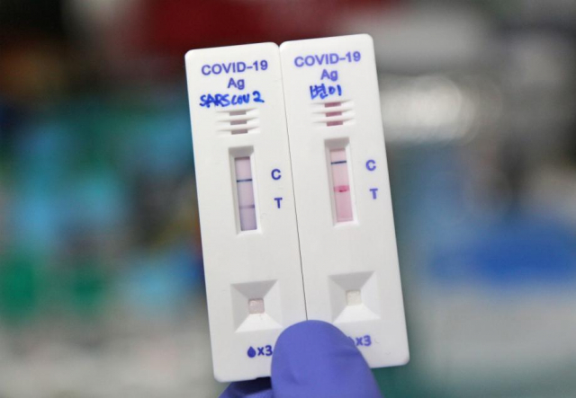 한국화학연구원 신종바이러스(CEVI) 융합연구단이 개발한 코로나19 신속진단 키트가 정상 항원에서는 보라색(왼쪽), 변이 항원에서는 분홍색(오른쪽)으로 표시된 모습. 한국화학연구원 제공