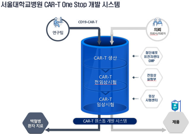 국내 최초로 자체 생산 CAR-T 치료 임상 나선 서울대병원 '첫 환자 완전관해 도달'