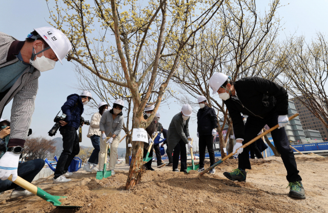 오세훈(오른쪽) 서울시장과 시민들이 5일 서울 종로구 광화문광장 공사 현장에 산수유 나무를 심고 있다. 연합뉴스