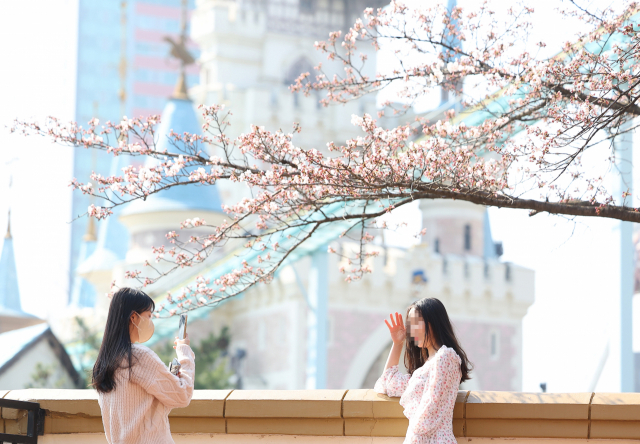 3년 만에 개방된 서울 송파구 석촌호수 벚꽃길을 찾은 시민들이 기념 촬영을 하고 있다. 연합뉴스