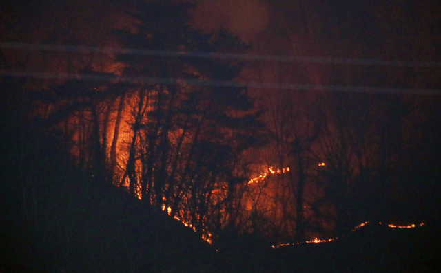 5일 오후 1시 29분께 경북 봉화군 봉하읍 야산에서 불이 났다. 산림 당국은 이날 오후 7시께 대응 3단계를 발령하고 진화 작업을 벌이고 있다. 연합뉴스