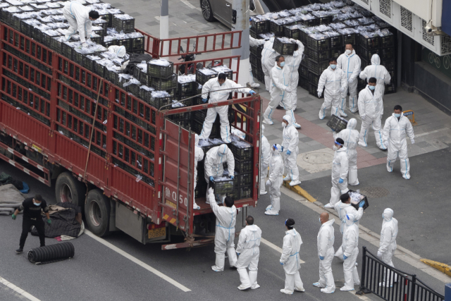 코로나19 봉쇄 기간이 연장된 중국 상하이에서 지난 5일 보호복을 입은 사람들이 주민들에게 전달할 식료품을 트럭에서 내리고 있다./연합뉴스