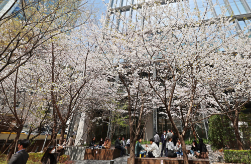 포근한 날씨를 보인 지난 6일 오후 서울 종로구 청진공원 인근에서 점심식사를 마친 직장인들이 봄날씨를 만끽하고 있다. 연합뉴스