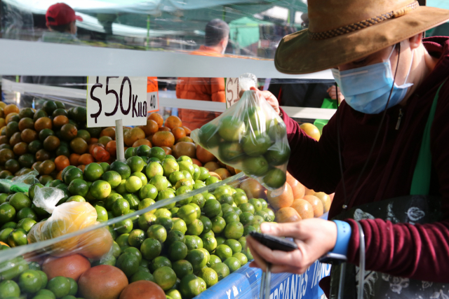 멕시코 멕시코시티의 한 마켓에서 소비자가 과일을 고르고 있다. AP연합뉴스