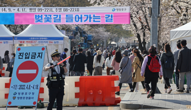 상춘객들이 8일 서울 영등포구 여의도 윤중로 벚꽃길에서 벚꽃을 감상하고 있다. 서울 영등포구는 2020년 코로나19로 폐쇄된 윤중로 벚꽃길을 3년 만에 개방하기로 했다. 성형주 기자