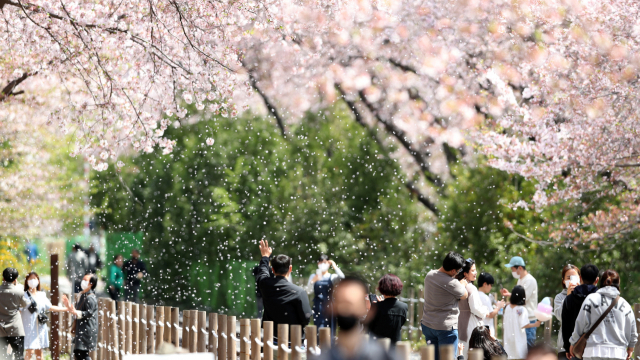 연합뉴스