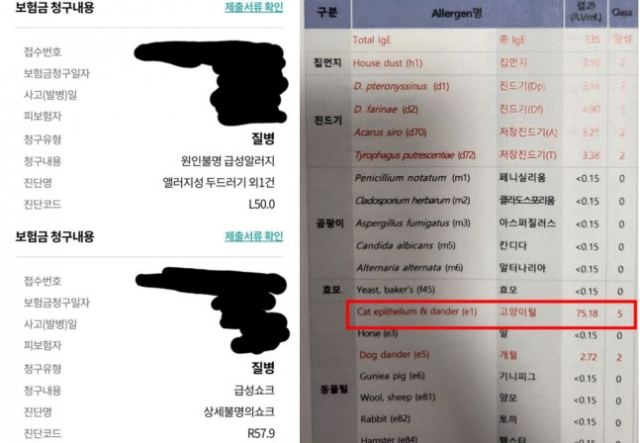 /사진=온라인 커뮤니티 캡처