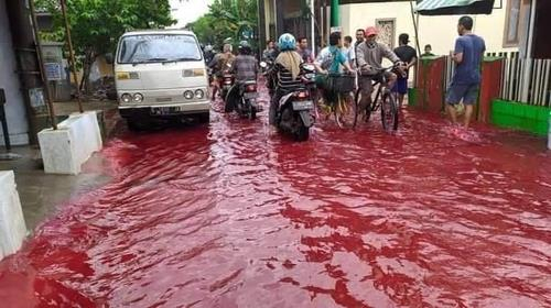 인도네시아 발리섬의 한 강이 인쇄업체의 폐수 방류로 인해 붉게 물들었다. McMenangSusilo 트위터 캡처