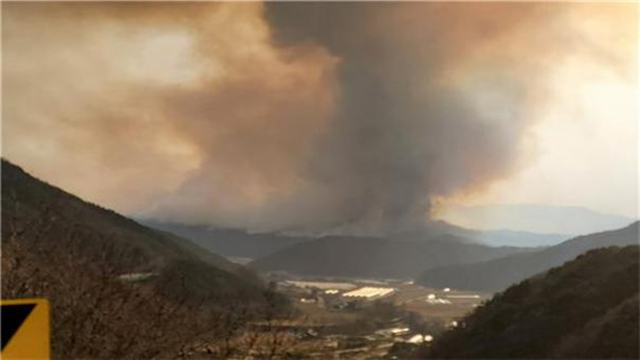 강원 양구 산불이 이틀째 이어지고 있는 가운데 11일 오후 산불 현장에 연기가 피어오르고 있다. 사진제공=산림청