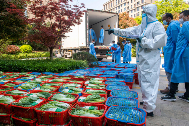 코로나19 확산을 막기 위한 도시 봉쇄가 계속되는 중국 상하이의 푸둥 지역에서 12일 보호복을 입은 자원봉사자들이 주민들에게 배급할 채소 등 식재료를 확인하고 있다. 연합뉴스