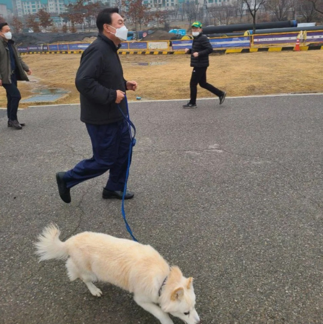 결론 못낸 '개 식용 문제' 尹 정부서 푼다