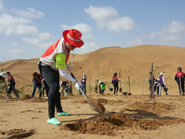 BC카드 임직원봉사단이 중국 쿠부치사막에서 페이퍼리스 조림사업에 참여하고 있다. 사진 제공=BC카드