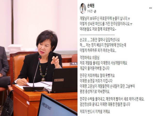 손혜원 전 더불어민주당 의원이 20일 공유한 페이스북 글. 페이스북 캡처