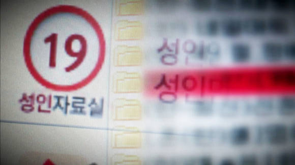 '에로 대국 반성?'…고교생 '성인물 출연' 허용한 일본