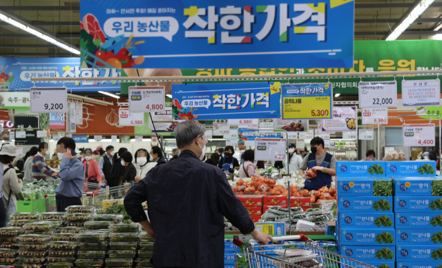 24일 서울의 한 대형 마트에서 소비자들이 장을 보고 있다. 연합뉴스