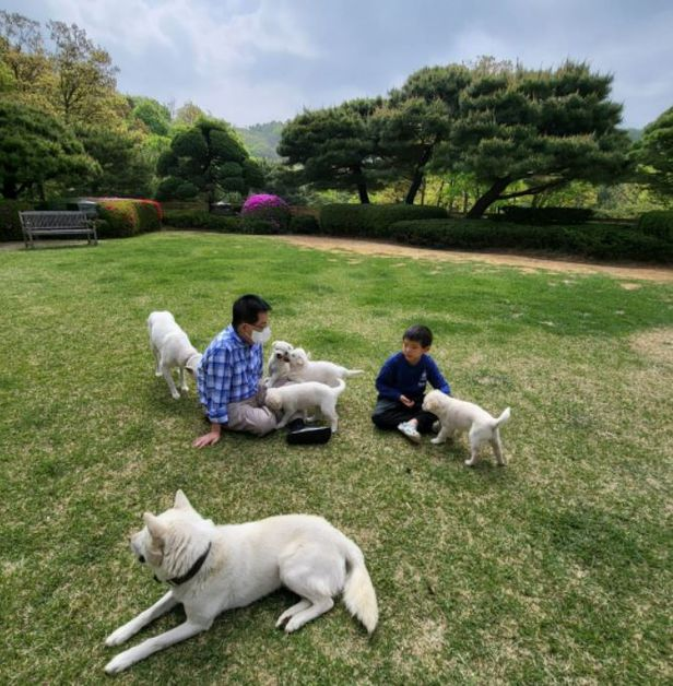 박지원 국정원장이 지난 24일 손자와 반려견들이 잔디밭에서 노는 사진을 게재했다. 페이스북 캡처