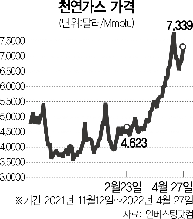 사진 설명