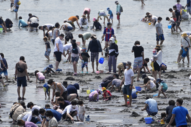 5일(현지시간) 황금연휴를 맞이한 일본의 시민들이 도쿄 근교인 요코하마의 한 바닷가에서 조개잡이를 하고 있다. AP연합뉴스