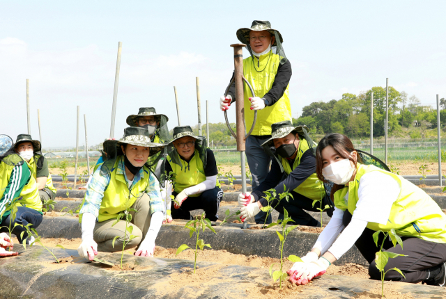 정영채(오른쪽 세번째) NH투자자증권 사장과 임직원들이 6일 경기 파주 농가를 찾아 고추 모종심기 작업을 하고 있다. /제공=NH투자증권