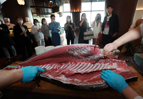 한 레스토랑에서 셰프들이 100kg 참다랑어 해체쇼를 선보이고 있다. /사진 출처=연합뉴스
