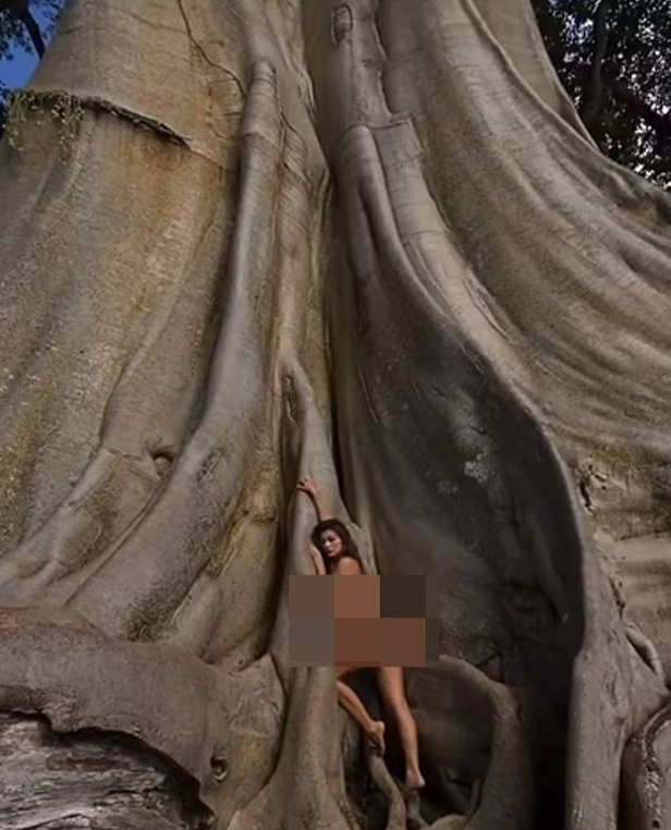 러시아인 인플루언서 부부가 인도네시아 발리섬에서 주민들이 신성하게 떠받드는 나무에 알몸으로 들어가 사진을 촬영한 사실이 뒤늦게 알려지면서 추방 위기에 놓였다. 인스타그램 캡처