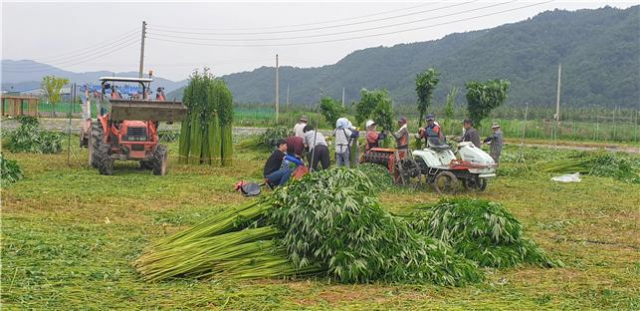 사진제공=경북바이오산업연구원