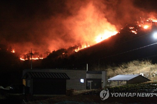 지난 3월 4일 강릉시 옥계면에서 발생해 동해시까지 확산한 산불이 6일 새벽 망상동 지역에서 바람을 타고 동쪽으로 향하고 있다. 연합뉴스