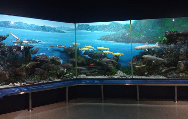 부산시 해양자연사박물관 해양생물전시실./사진제공=부산시 해양자연사박물관