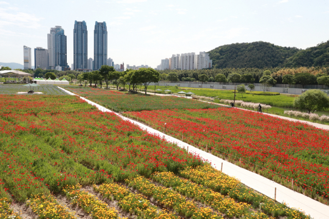 울산 태화강국가정원 봄꽃 축제가 13일부터 3일간 열린다. 사진 제공=울산시