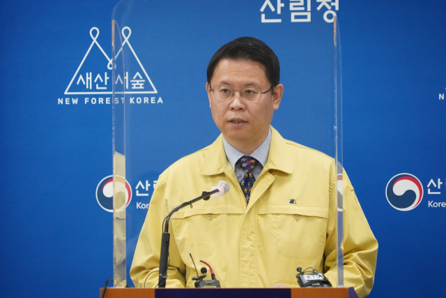 김용관 산림청 산림산업정책국장이 12일 정부대전청사 기자실에서 대형 산불피해지 복원 방향에 대해 발표하고 있다. 사진제공=산림청