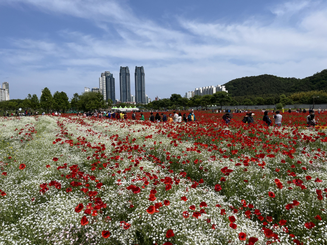 울산 태화강 국가정원에서 관람객들이 한가득 핀 봄꽃 사이를 오가고 있다. 사진제공=울산시