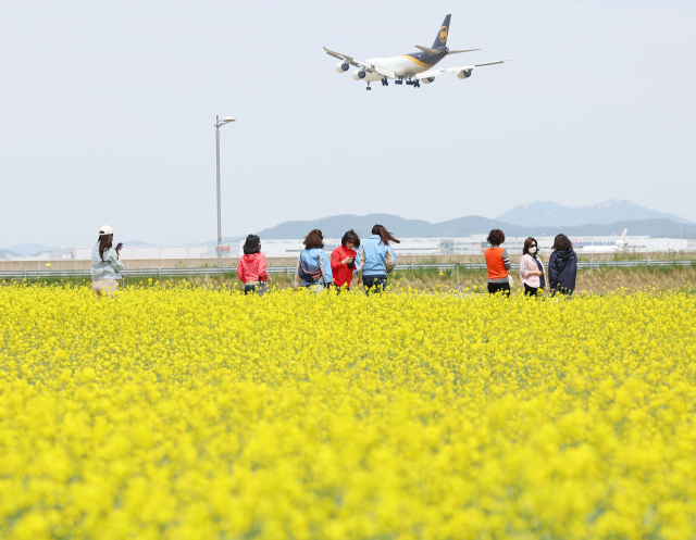 13일 인천시 영종도 인천공항 하늘정원 꽃밭에 유채꽃이 가득 펴있다. 연합뉴스