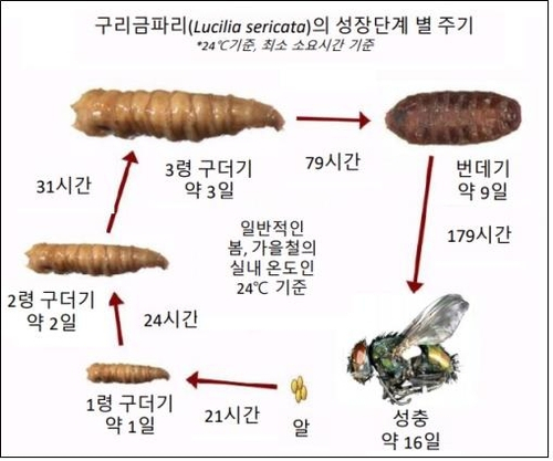 사진=경찰청