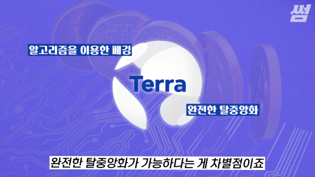 한국의 머스크…권도형 루나와 테라가 사기인 이유[영상]