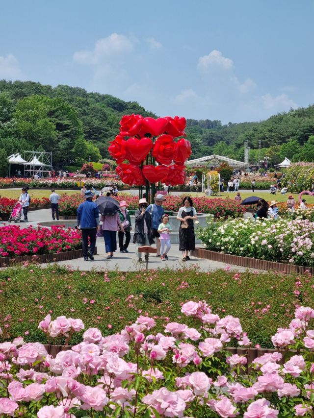 울산대공원 장미원 일부. 사진제공=울산시