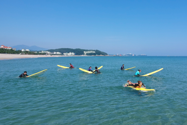 양양서핑학교에서 서핑을 즐기고 있는 관광객들. 사진 제공=서프시티협동조합