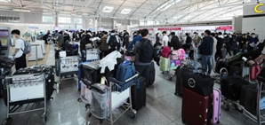 다시 북적이는 인천공항…입점업체 매출도 '수직 상승'