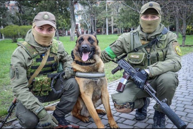 러시아군에 버려진 뒤 우크라이나 군견이 된 맥스와 우크라이나 군인들이 포즈를 취하고 있다. 우크라이나 방위군 트위터 캡처