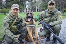 러시아군에 버려진 뒤 우크라이나 군견이 된 맥스와 우크라이나 군인들이 포즈를 취하고 있다. 우크라이나 방위군 트위터 캡처